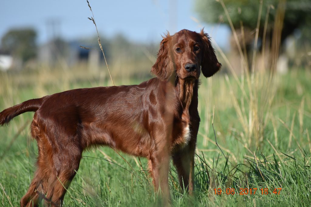 Naomie Du Manoir Des Sept Planétes