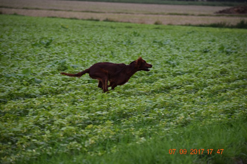 Naomie Du Manoir Des Sept Planétes